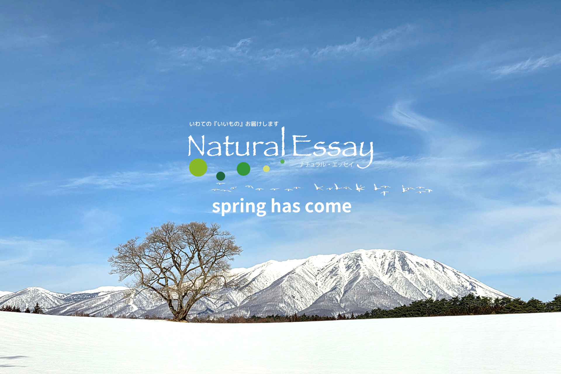 ナチュラル・エッセイ マルシェ｜横浜元町