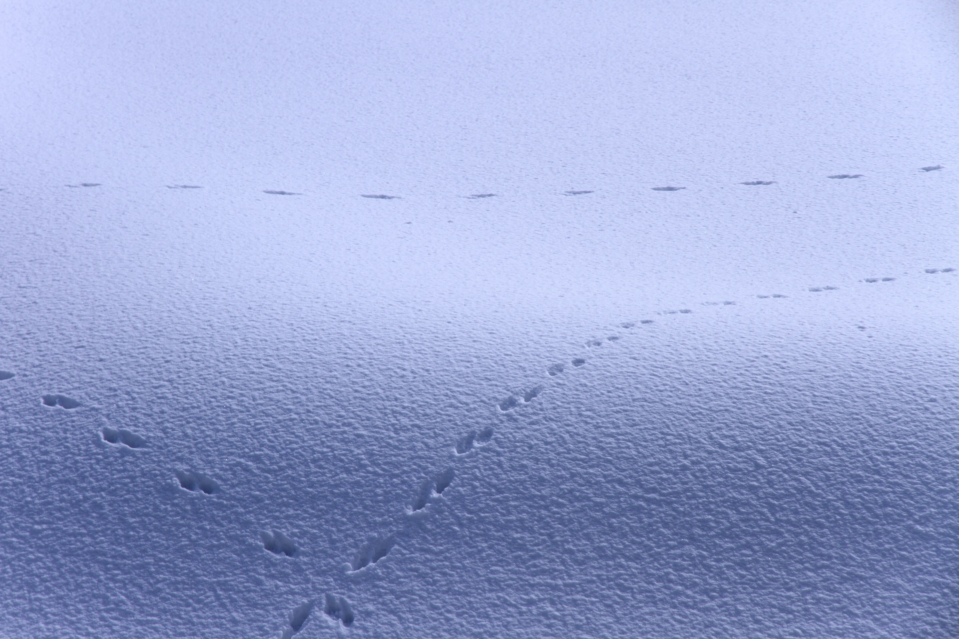 年末年始休業のおしらせ