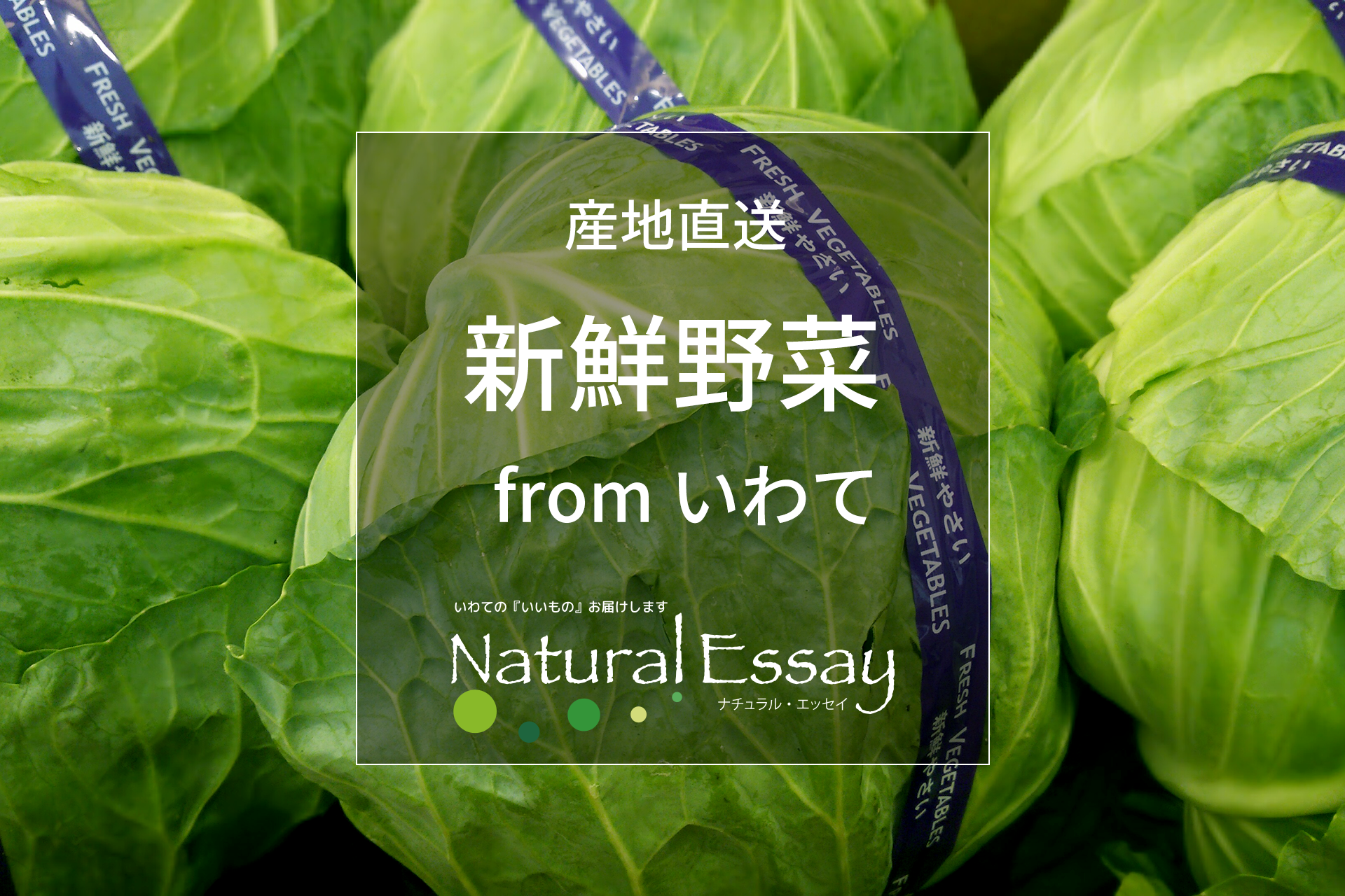 産地直送 新鮮野菜 from いわて