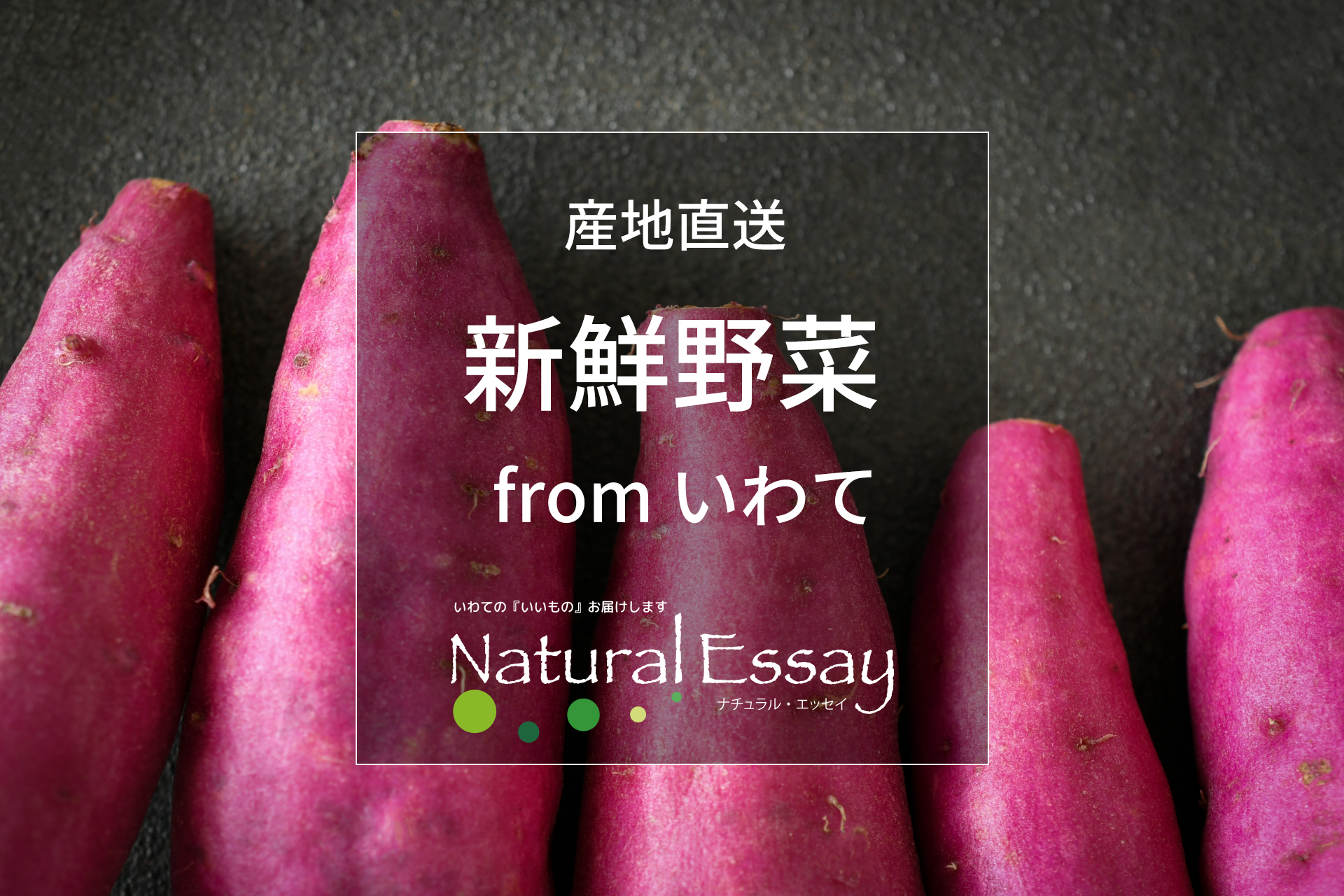 産地直送 新鮮野菜 from いわて(さつまいも)