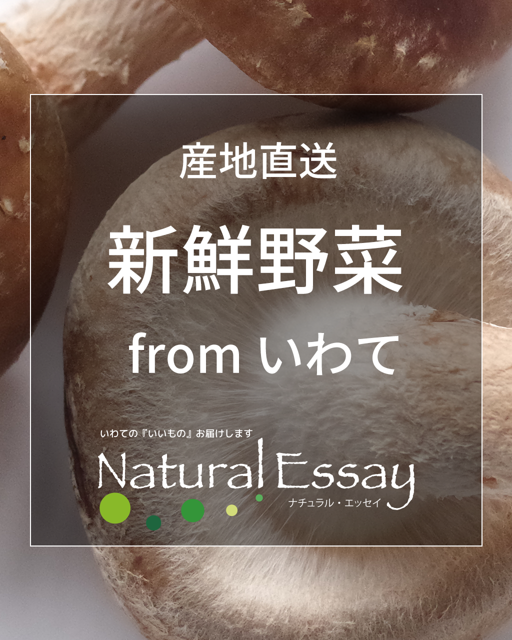 産地直送 新鮮野菜 from いわて（しいたけ）