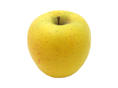 りんご シナノゴールド