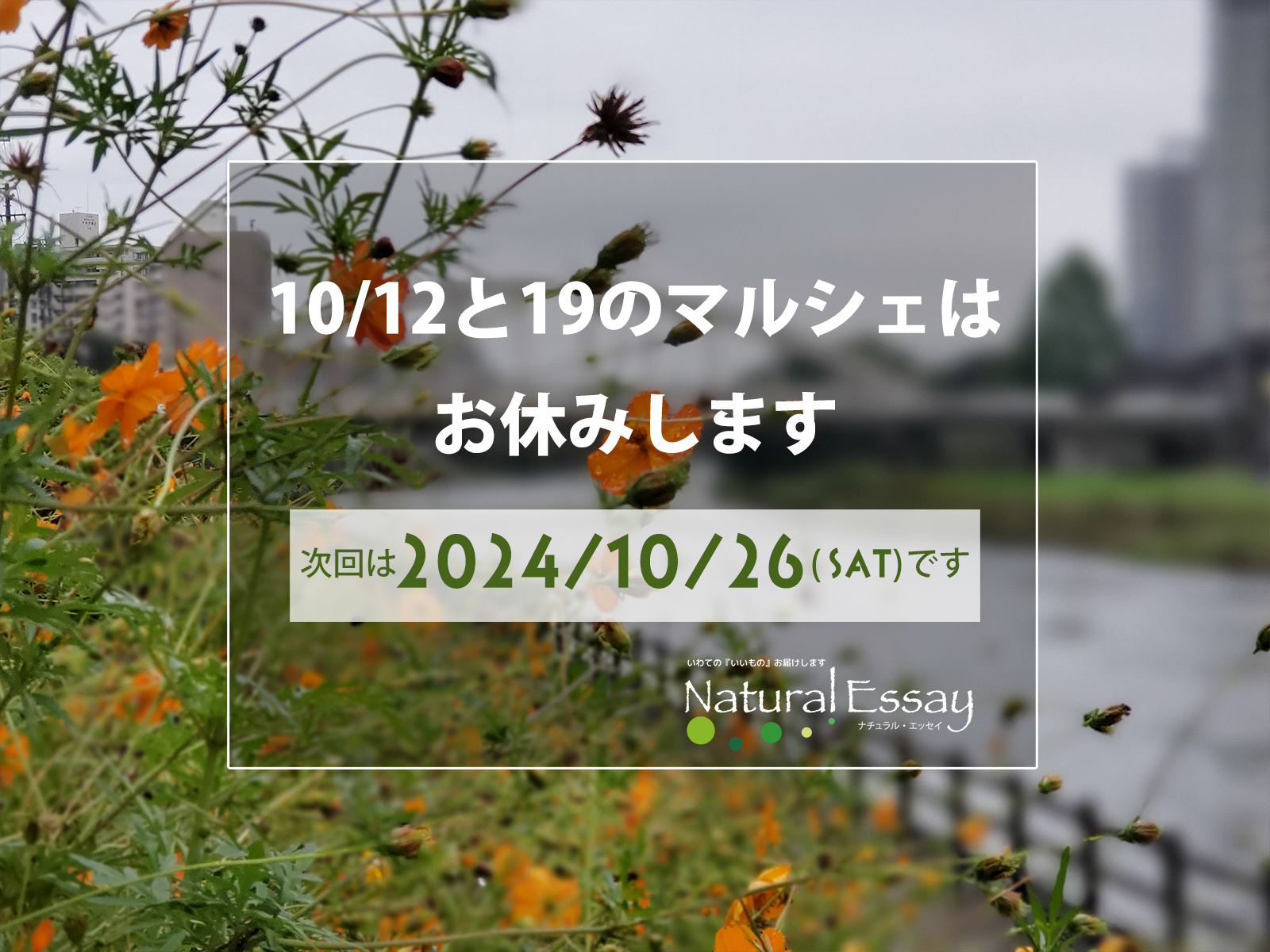 10/12、19はマルシェをお休みします