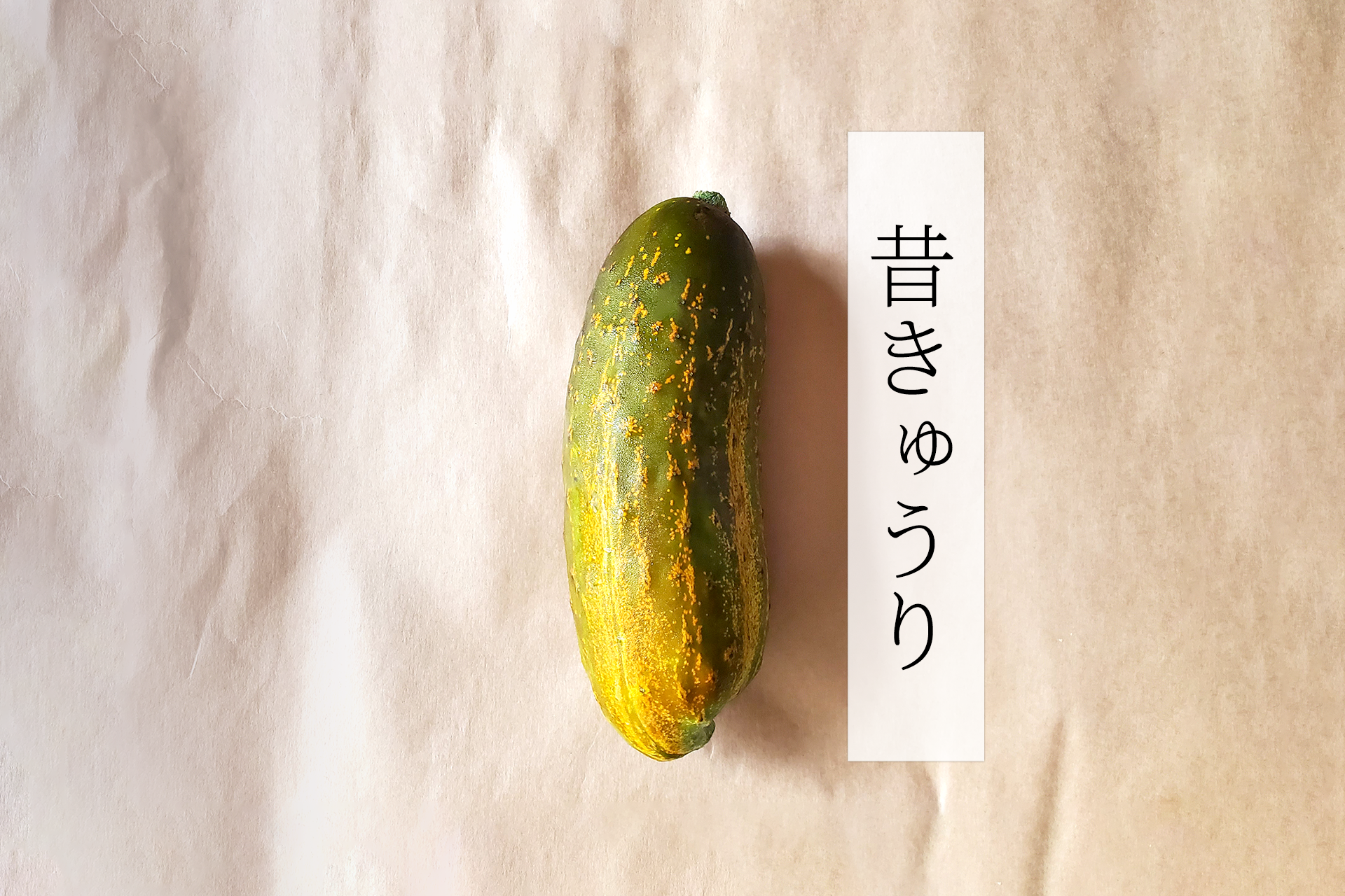 昔きゅうり