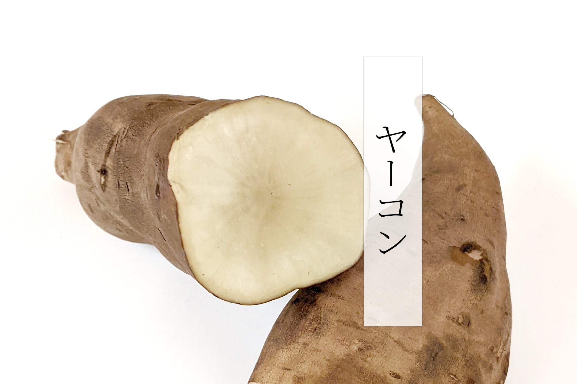 ヤーコン