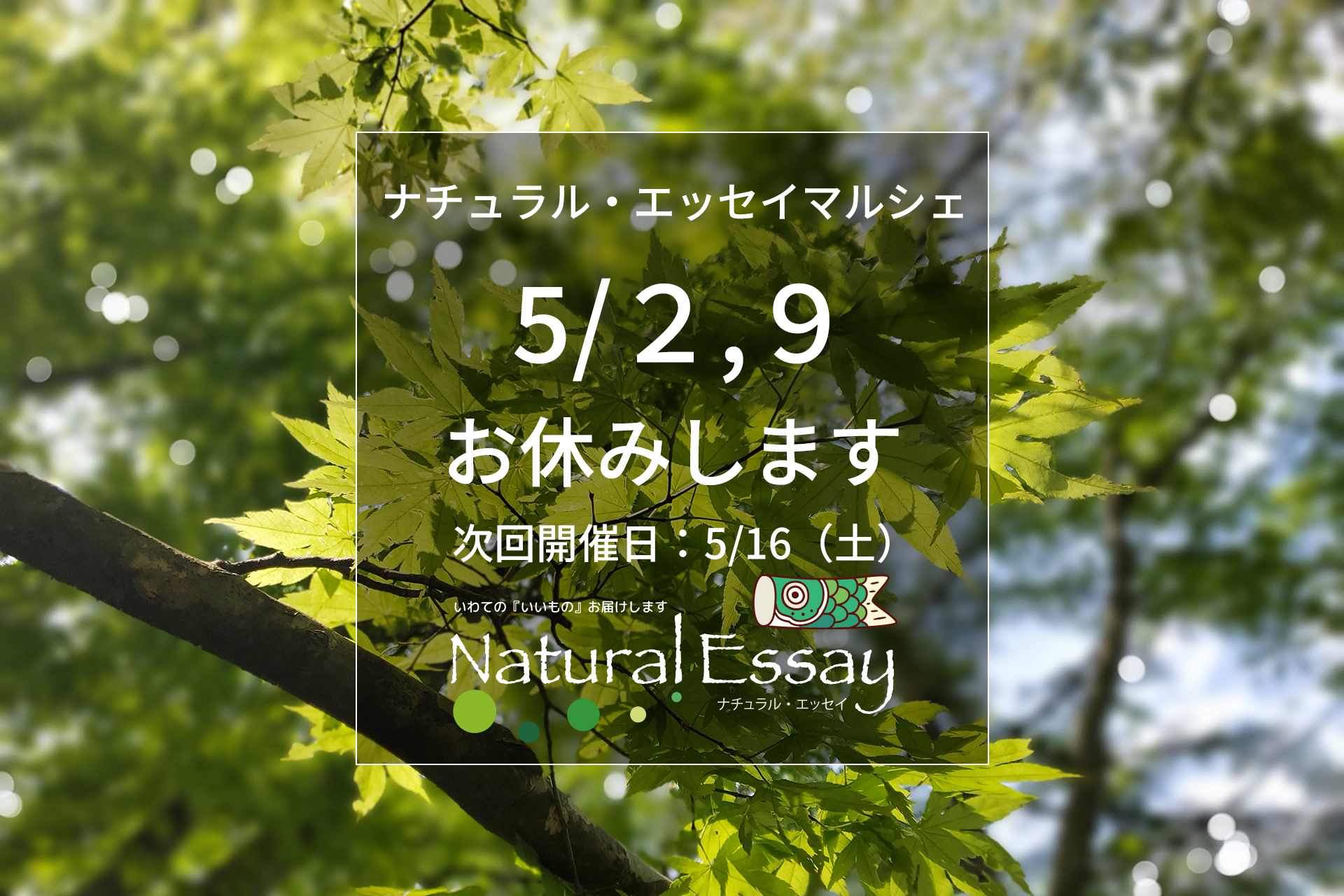 5月2日、9日はお休みします