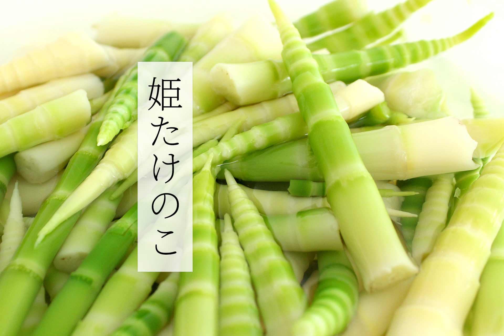 姫たけのこ