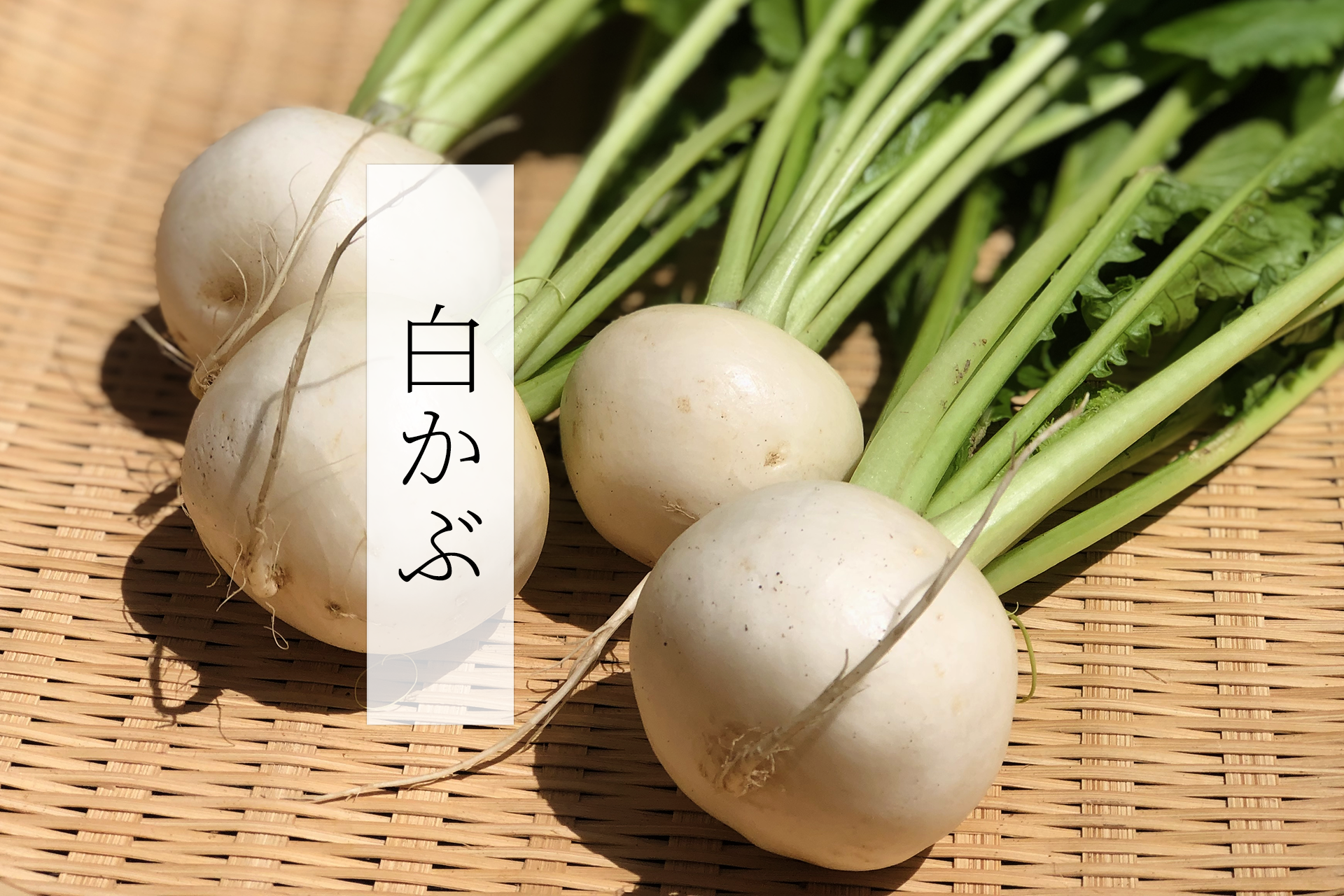白かぶ